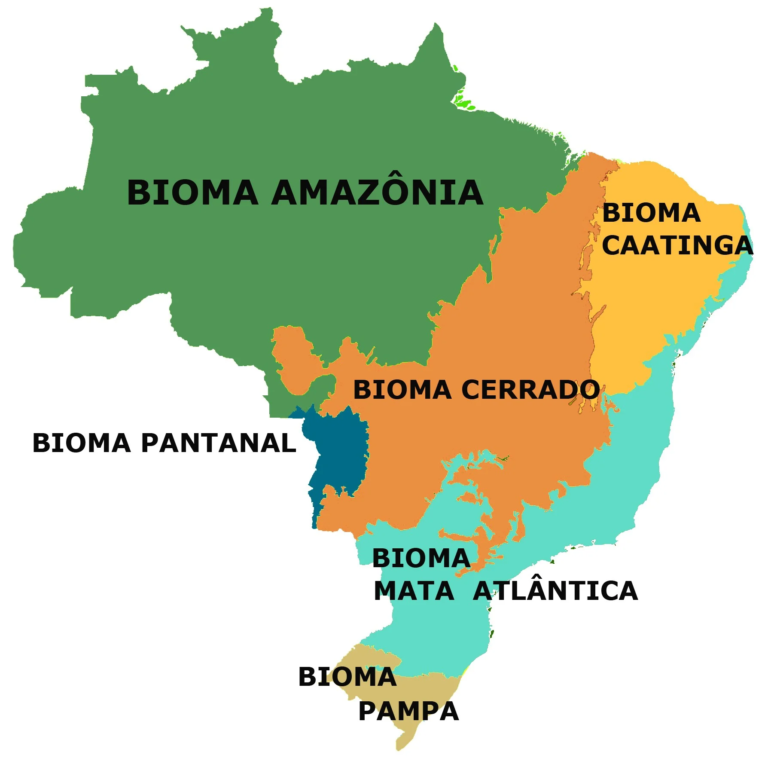 Mapa do Brasil – Biomas